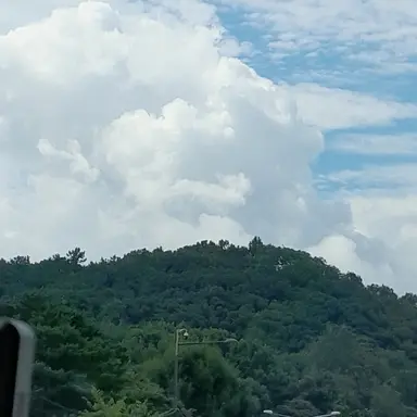 Profile image of 김일영