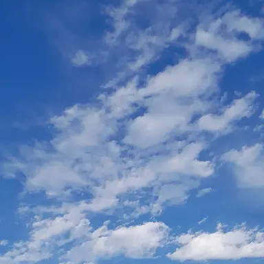 Profile image of 정형준