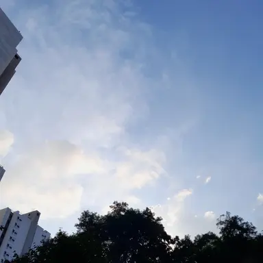 Profile image of 서한솔