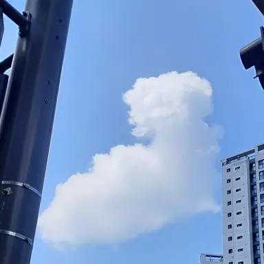 Profile image of 황수현