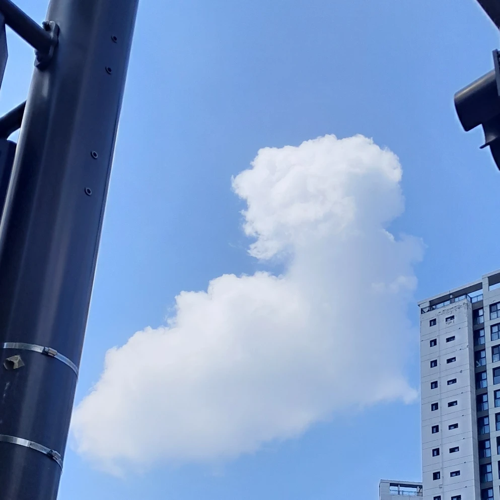 황수현