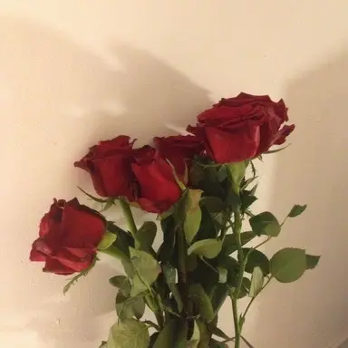 Profile image of 최연준