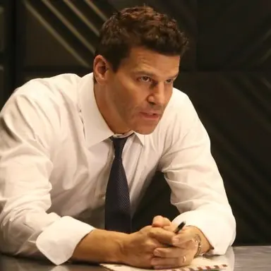 Profile image of Seeley Booth