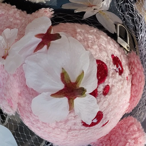 숌대가리