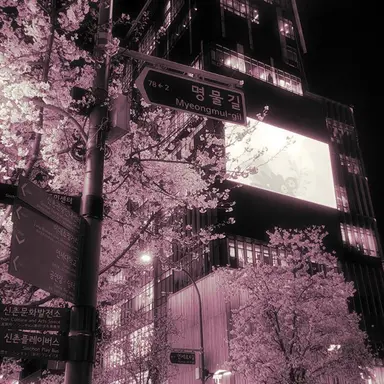 Profile image of 밥풀