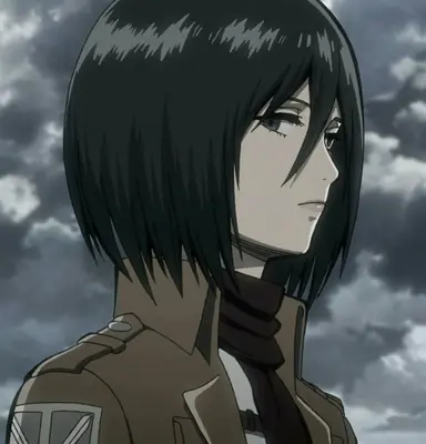 Profile image of 미카사