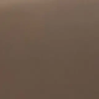 PettyLargo6276의 하이파이브 멤버들이 잡혀갔다.
