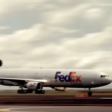 Profile image of FedEx 80편