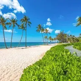 FutureLatch4454의 Free Island