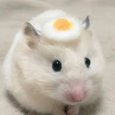 Profile image of イ・ヘイン