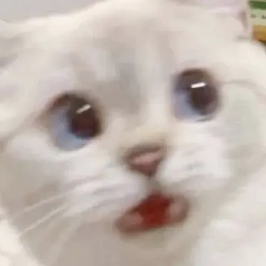Profile image of カン・ヘリン