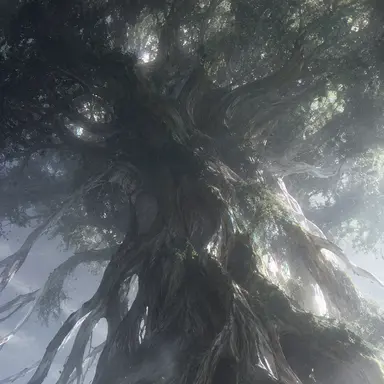 Profile image of Arbor