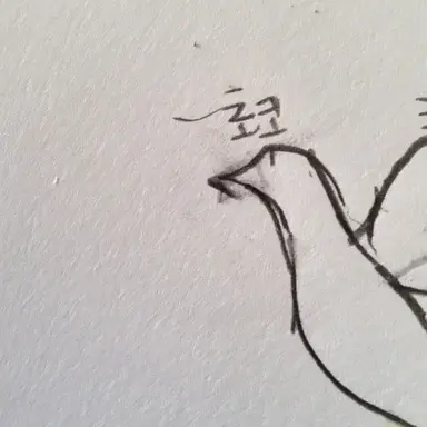 Profile image of 초코