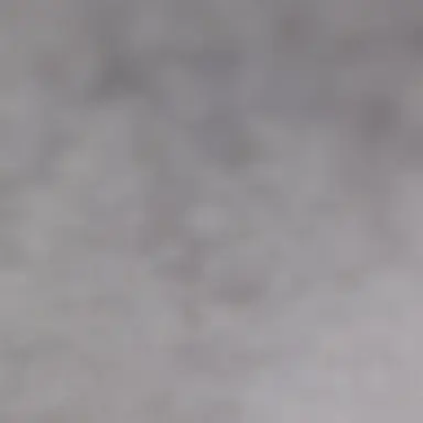 Profile image of 화이트 밴스