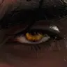 Profile image of Noah