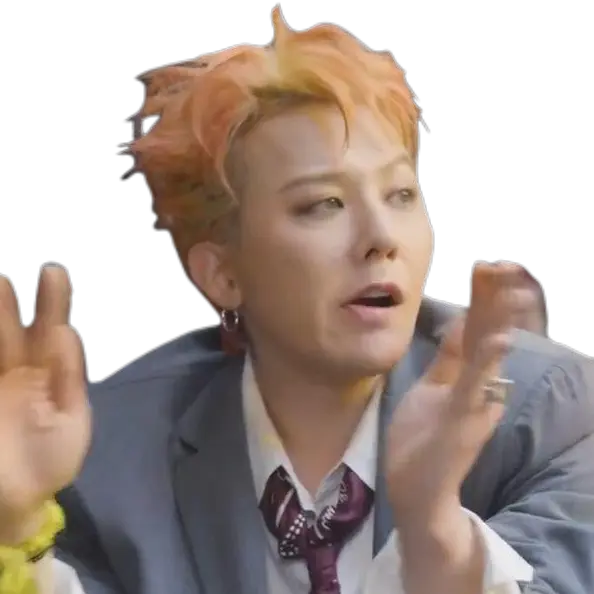 gdgdbabybabybaby의 권지용