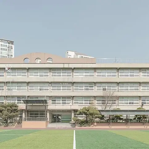 MuggyIbex3875의 서열학교
