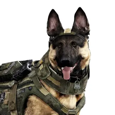 Profile image of 라일이