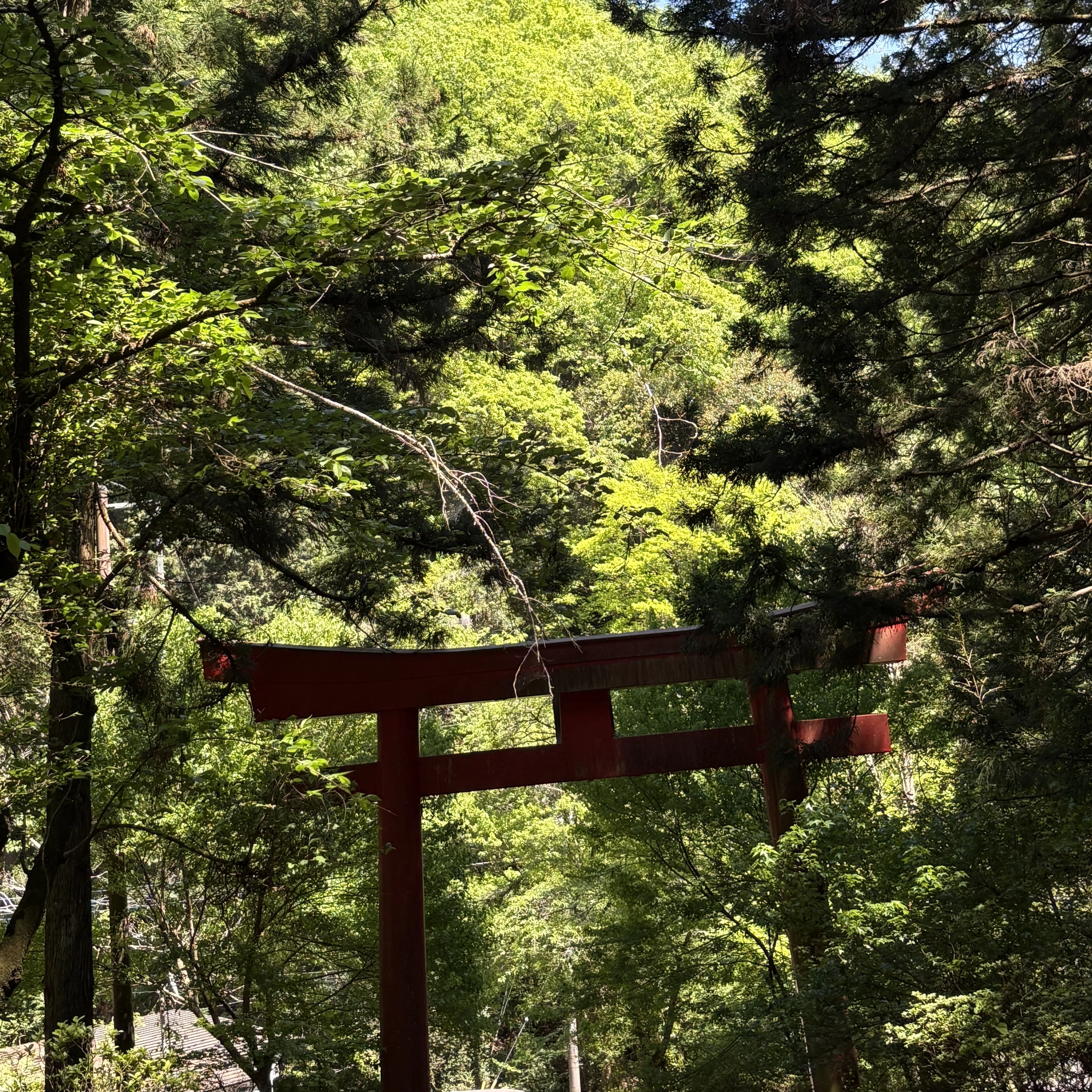 恵比寿夷三郎