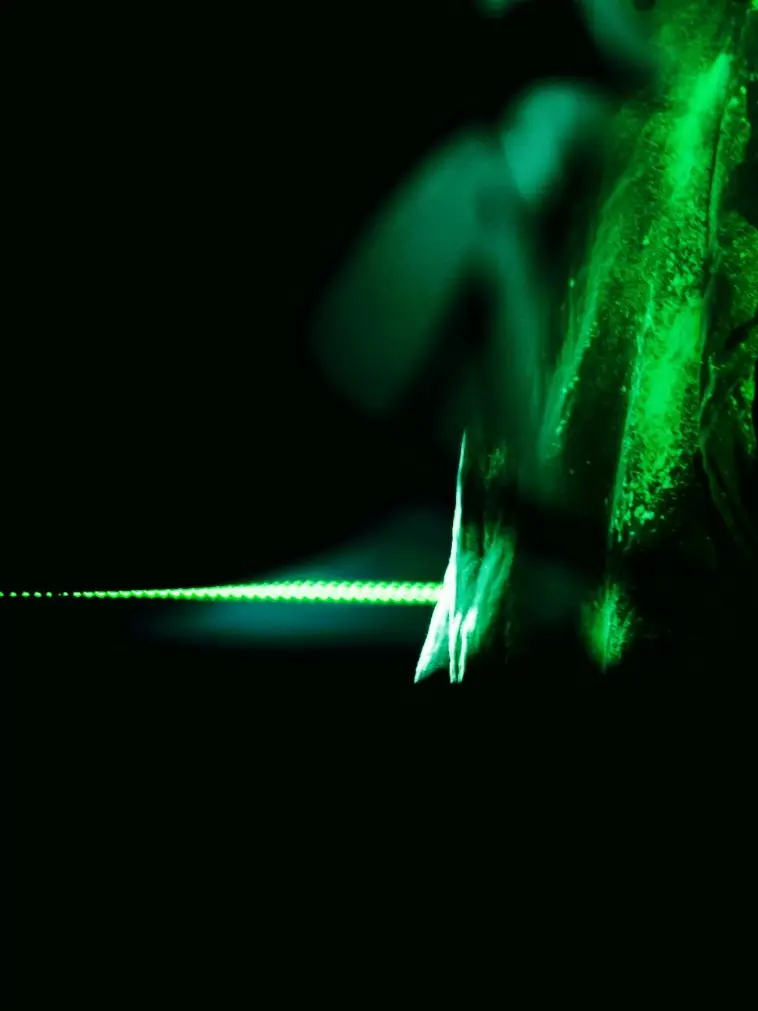 CrispLava6242의 監禁する側