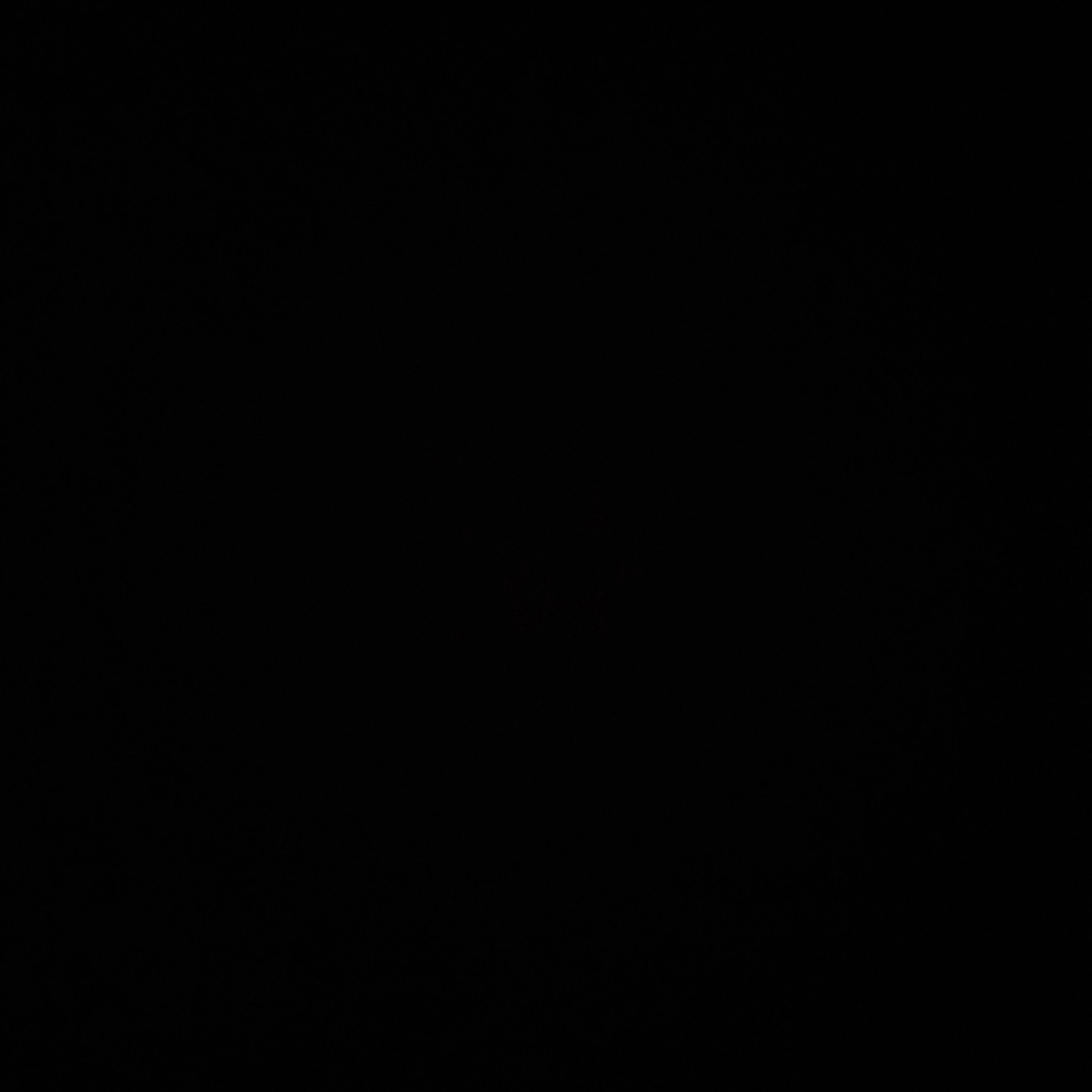공룡
