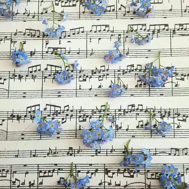 Profile image of 망종