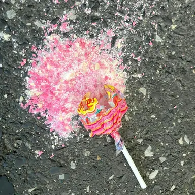 Profile image of 탄포포