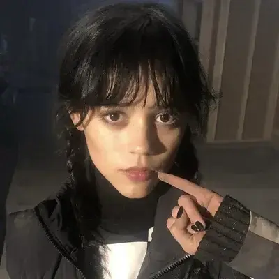 FineRack0556의 Wednesday Addams