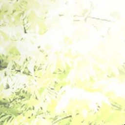 陸成志