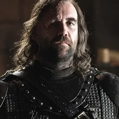 Profile image of Sandor Clegane