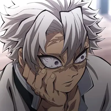 Profile image of Sanemi Shinazugawa