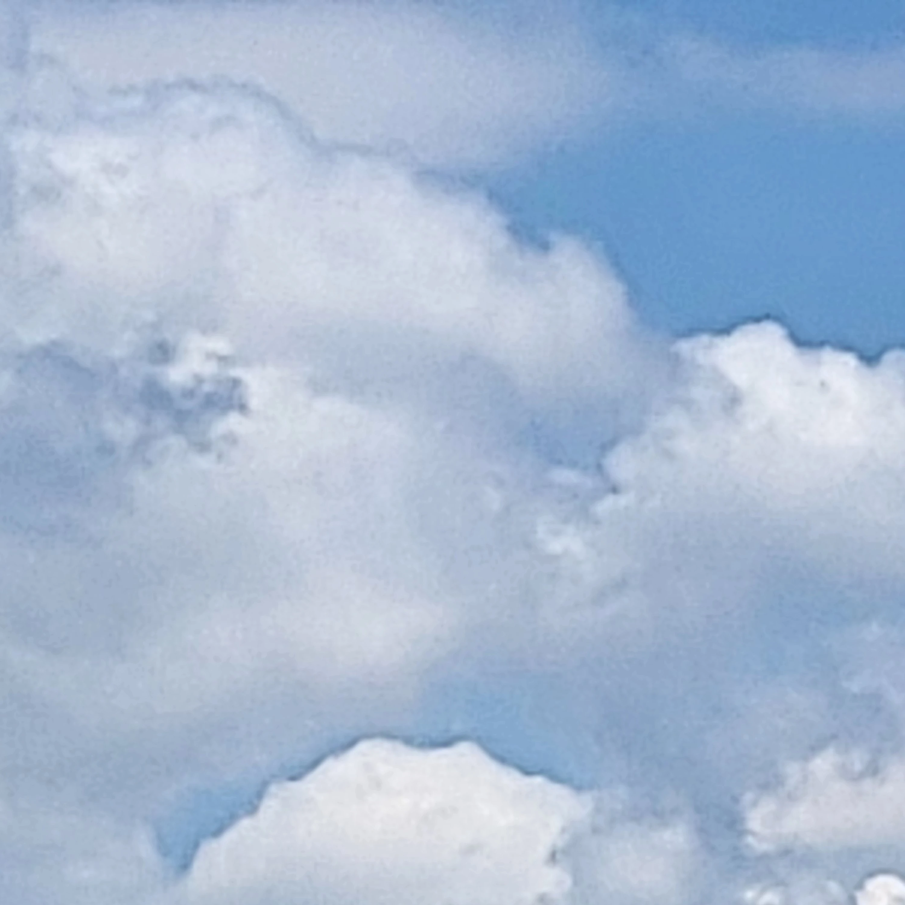 13자매