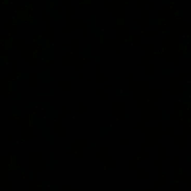김종인