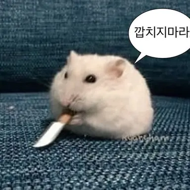 Profile image of 이강헌