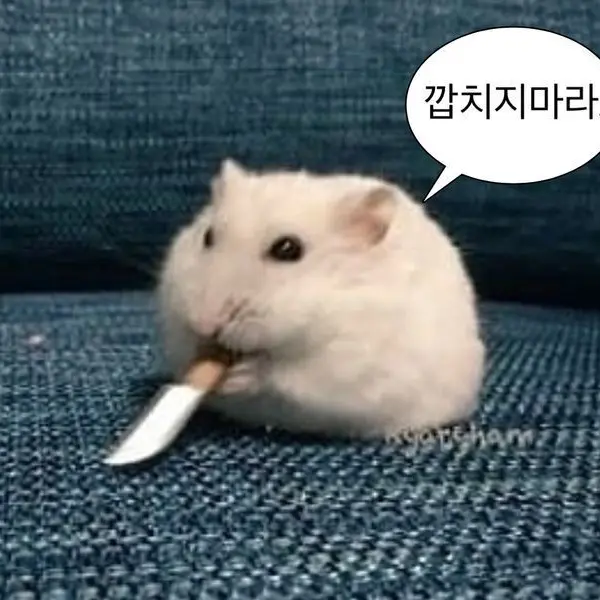 GlazedPage6244의 조리돌림당하기