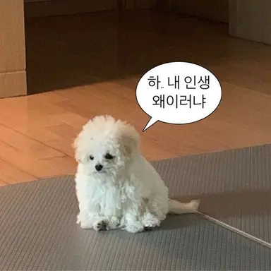 Profile image of 최요원