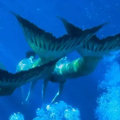 BleakCrown6634의 H20 just add water