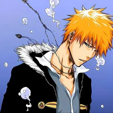 Profile image of 쿠로사키 이치고