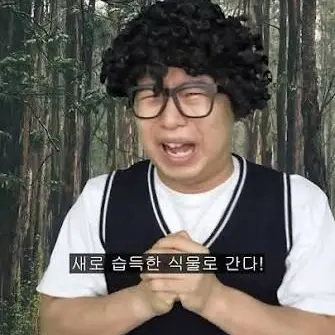 Profile image of 나무