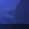 Profile image of .