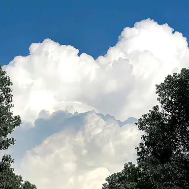 Profile image of 나츠케 히이로