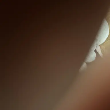 Profile image of アメリカ