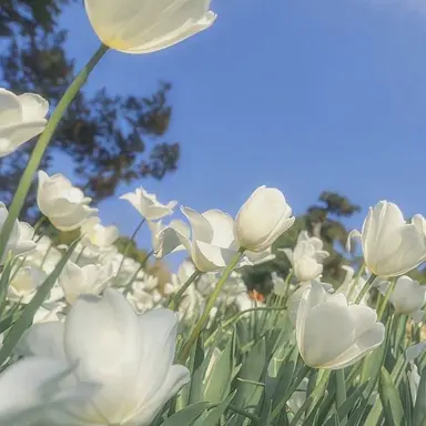 Profile image of 설아