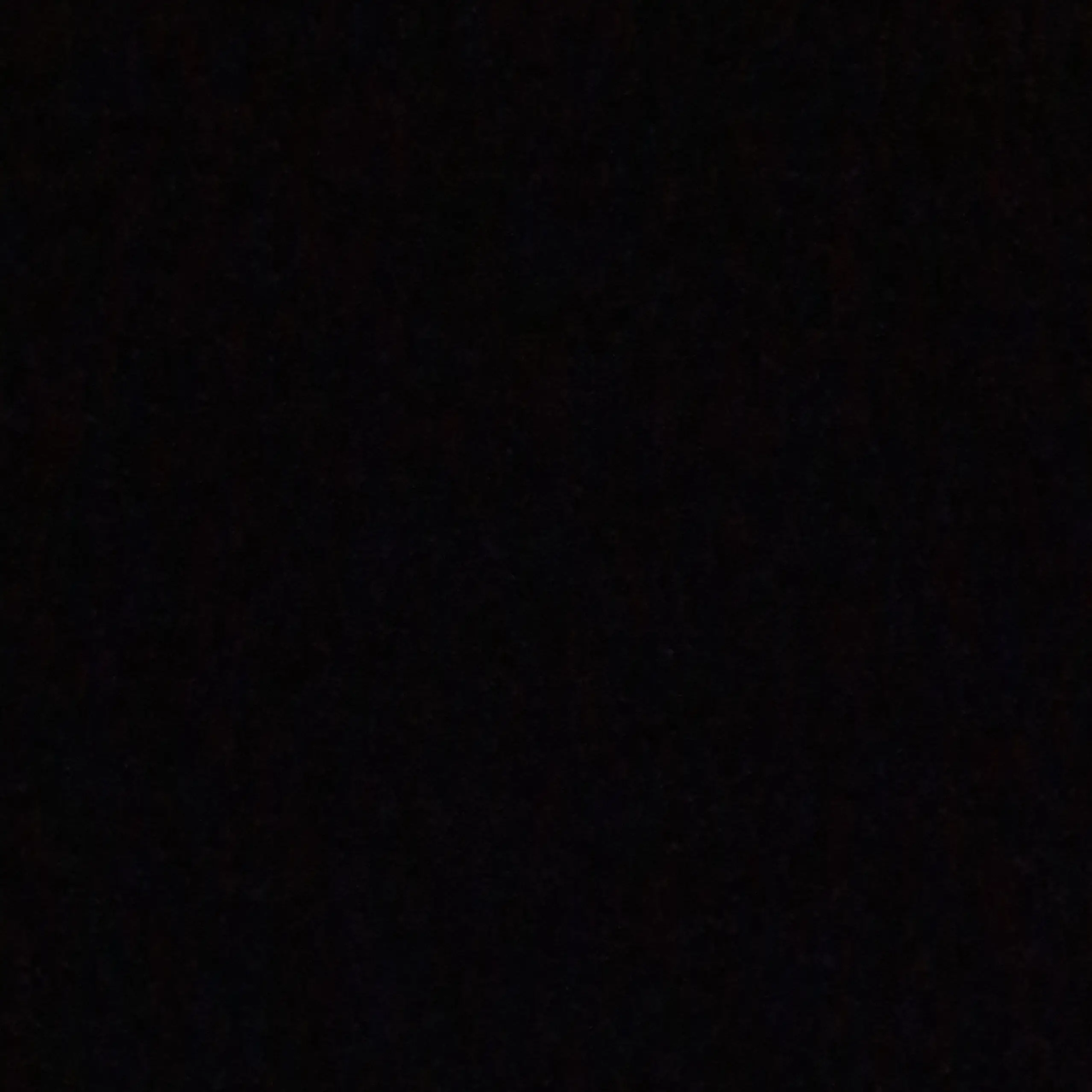 RoundProbe4507의 리바이 아커만