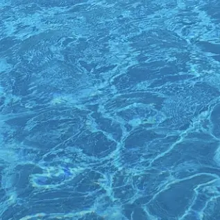 Profile image of 평학