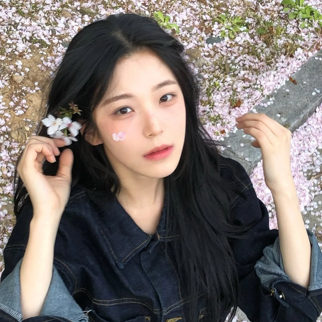 백지헌