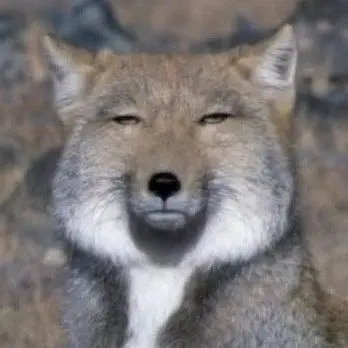 Profile image of 정여우