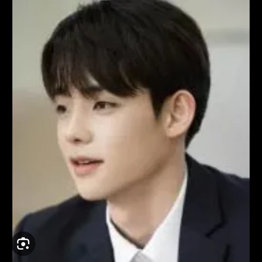 정해진