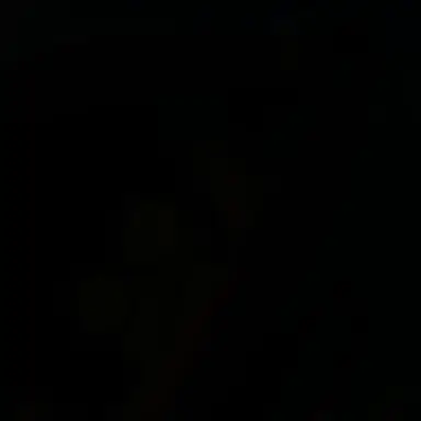 Profile image of 늑대