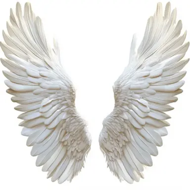 Profile image of 羽様